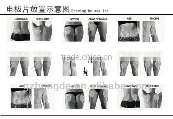 Digital Therapy Machine with LED Screen for beauty machine BD-009E