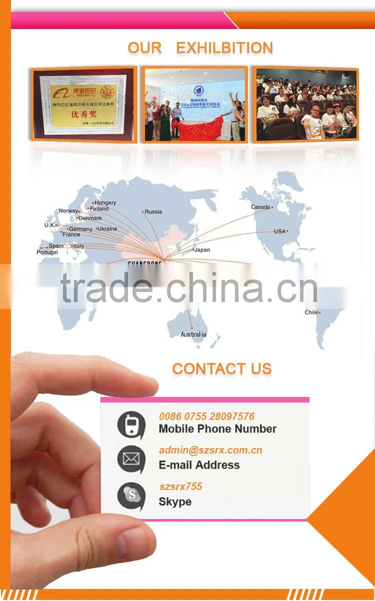 custom human boby model,human torso model ,plastic high quality injection model toy