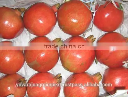 Fresh Pomegranate Sweet and Red Fruits