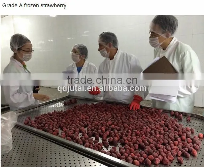 BQF Frozen Strawberry