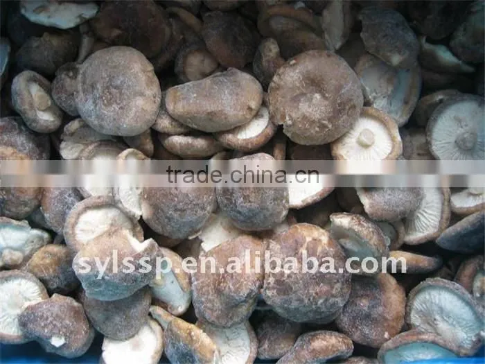 IQF SHIITAKE MUSHROOMS