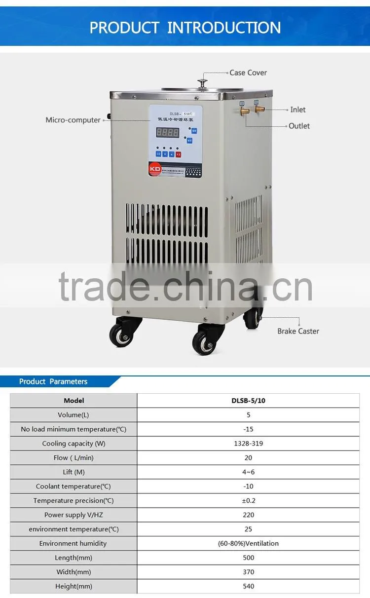 DLSB-30 Lab Low Temperature Cooling Liquid Circulating Pump