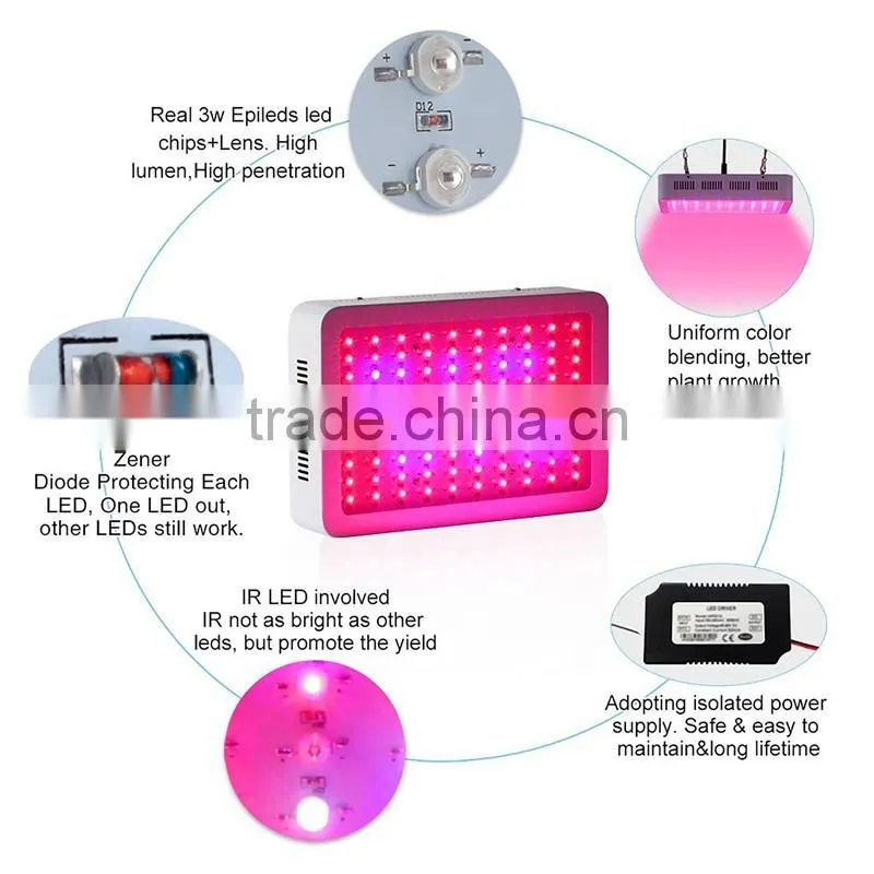 High Power 100X3W LED Grow Lights for hydroponic plants