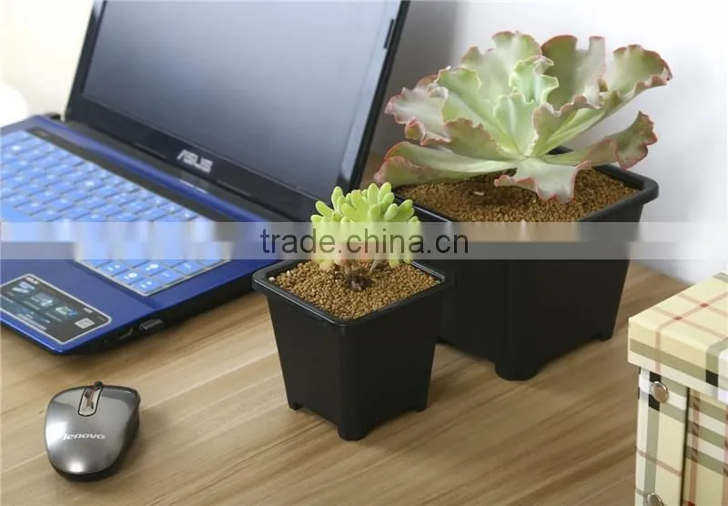 European Sqaure Pot