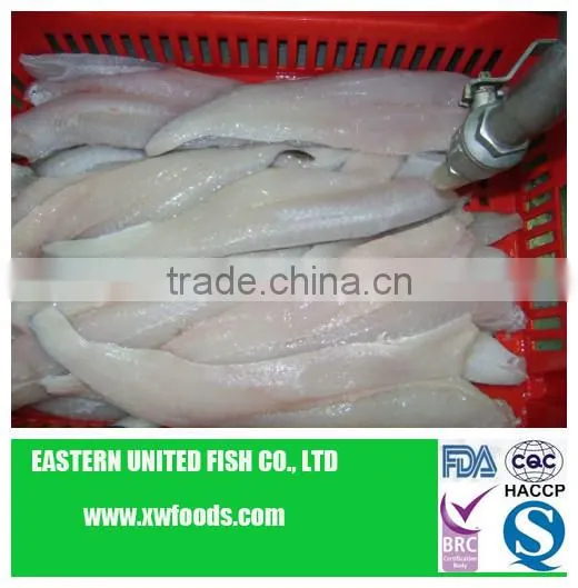 pacific hake fish
