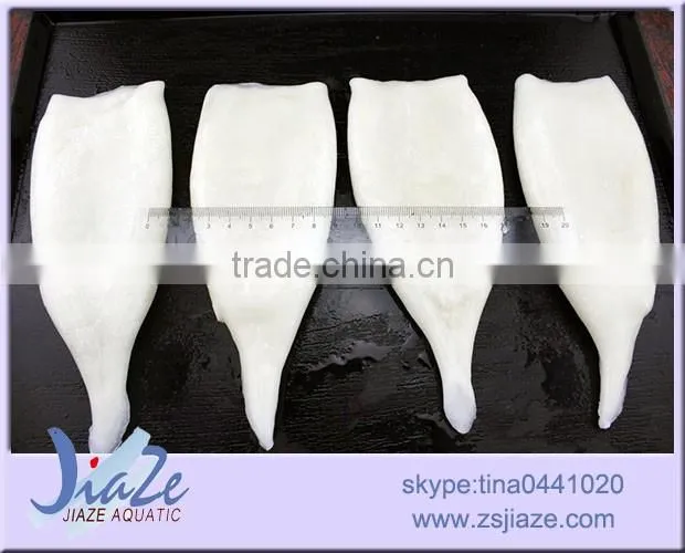 todarodes/loligo/gaint squid/frozen squid tube U5 U7 U10 U20