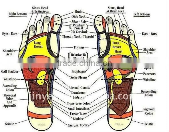 magnetic insoles/Transparent magnetic massage insoles