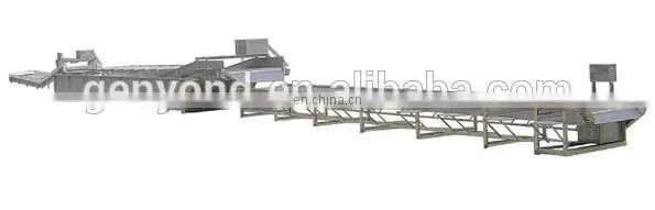 Pumpkin production line machine/green beans frozen processing line/vegetable freezing equipment