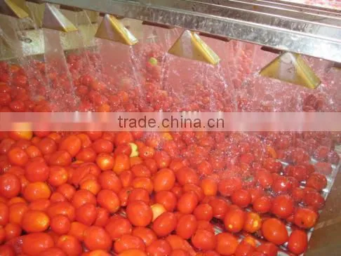 Professional Manufacture tomato paste production line