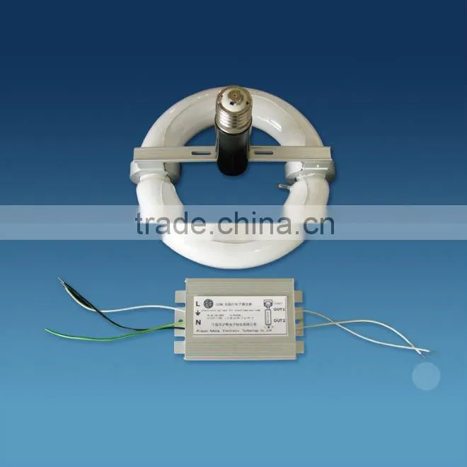 eco friendly super long life lamp 150W 100-300V electrodeless induction lamp