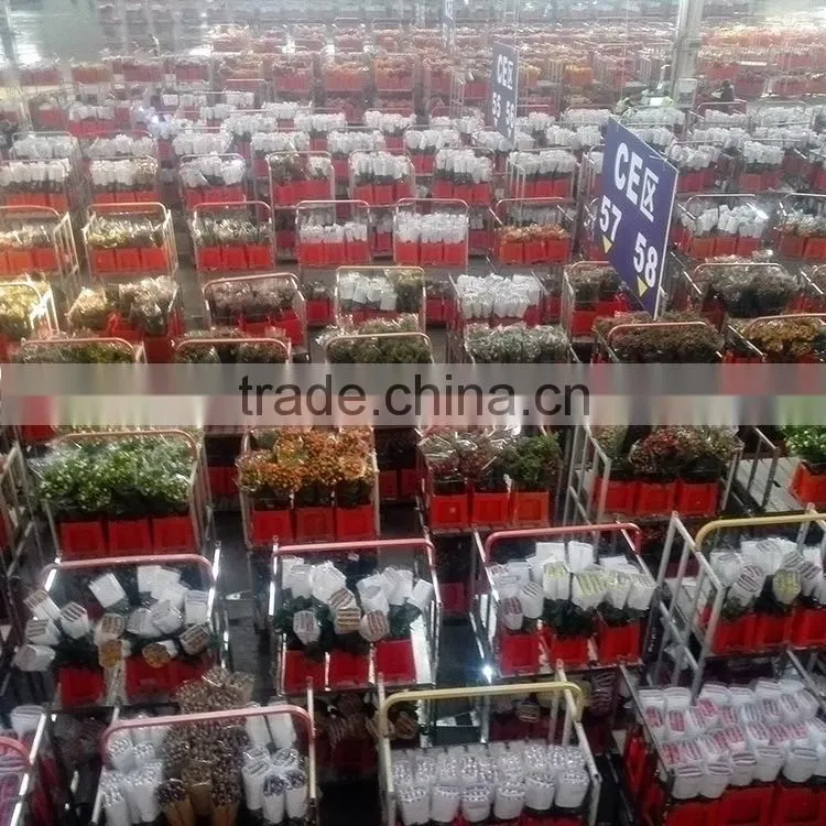 Popular Golden Sun exquisite wedding flowers gerberas
