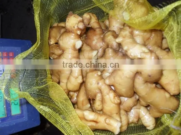 2016 Chinese fresh ginger wet dry half dry skin super quality