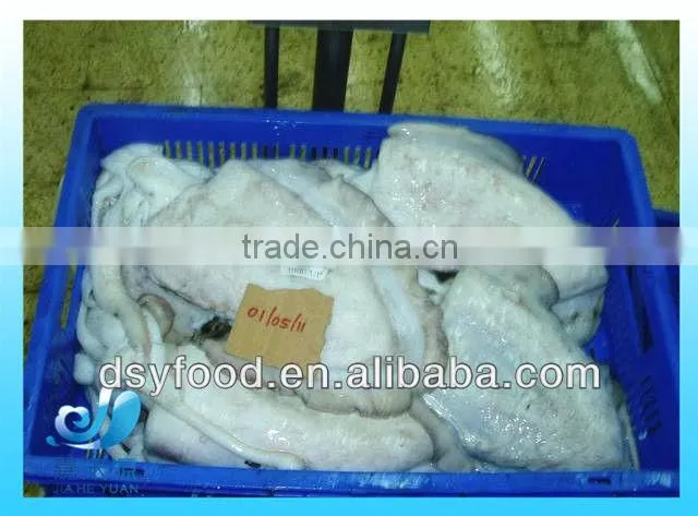 fresh frozen whole cuttlefish on sale