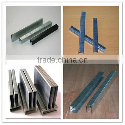 16 Gague crown Galvanized staples for upholstery made in china
