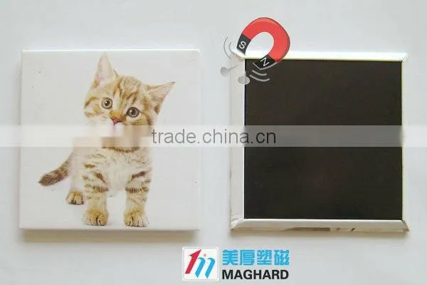 Iron Fridge Tin Magnet Tourist souvenir Cat