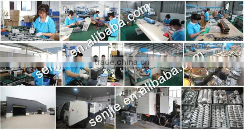 cng gas kit electronic control unit