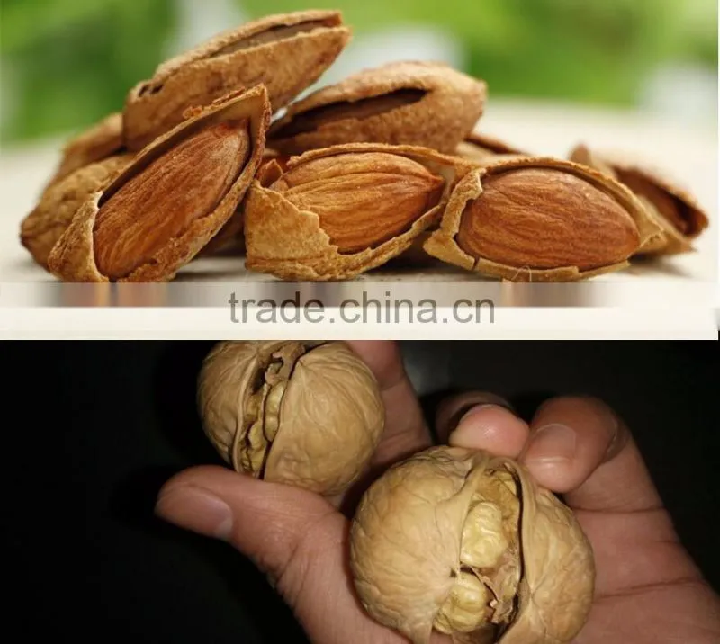 chestnut Pine Nut Opener equipment,Filbert nut opening machine,Walnut opening machine