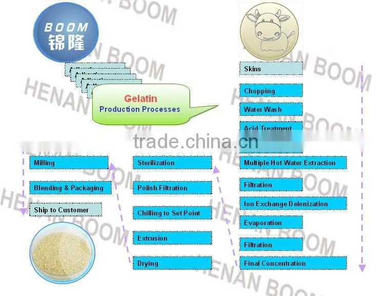 food grade bovine gelatin in china