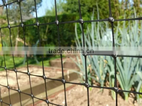 HDPE/POLY anti-bird net for protecting fruit tree and plant
