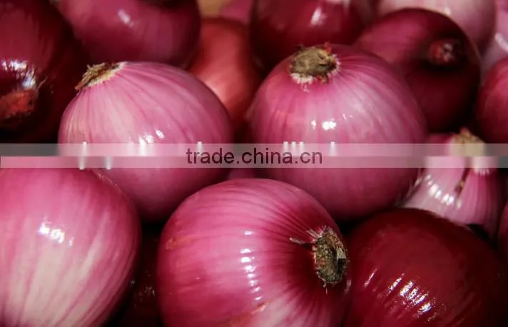 Engineers available to service machinery overseas After-sales Service Provided and Stripper Type onion peeling machine