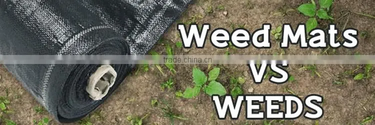 Agricultural pp weed mat shipping from china