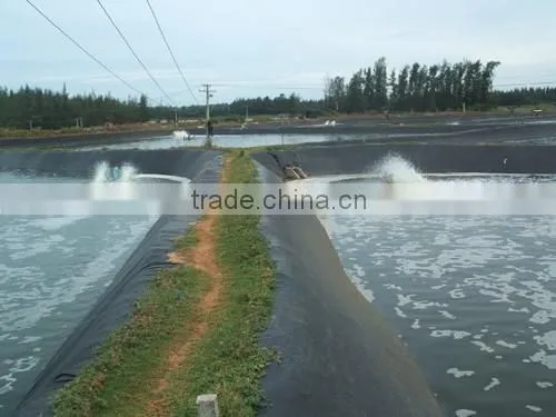 plastic fish ponds for outdoor fish farming