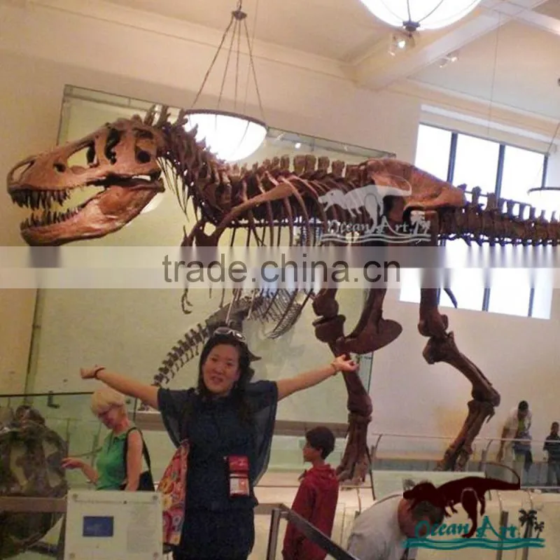 Indoor exhibition life size artificial dinosaur skeleton