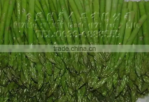 Special container/Reefer/Reefer container/container/transportation to South America