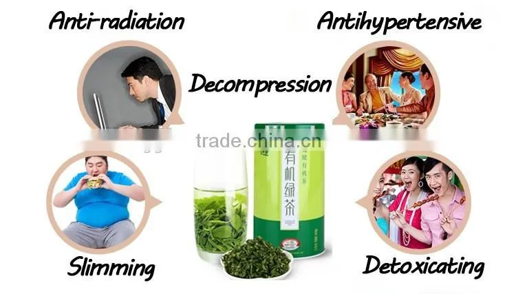 Green Tea Brand Chinese Organic Green Tea