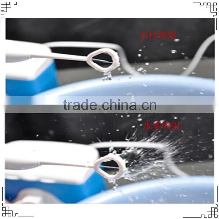Electric Dental Spa with Replacement Brush Heads