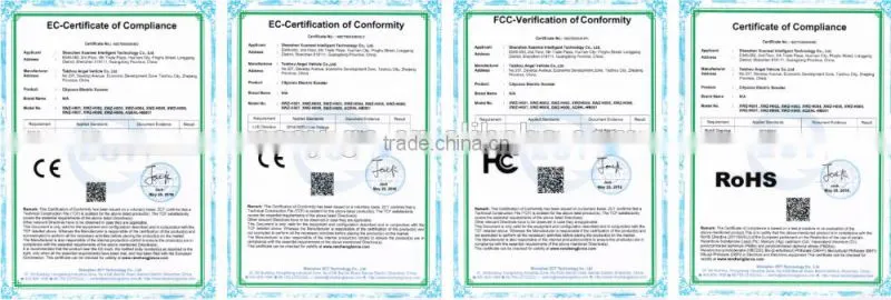 Newest design 1000w/800w City COCO scooter with sidecar with CE/RoHS/FCC certificate hot on sale