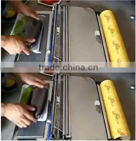 KW-450 Fruit hand packaging wrapper