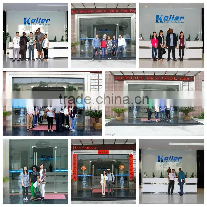 2016 Koller New design 1ton/day Flake Dry Ice Machine with Ice Bin for Fishing Equipment KP10
