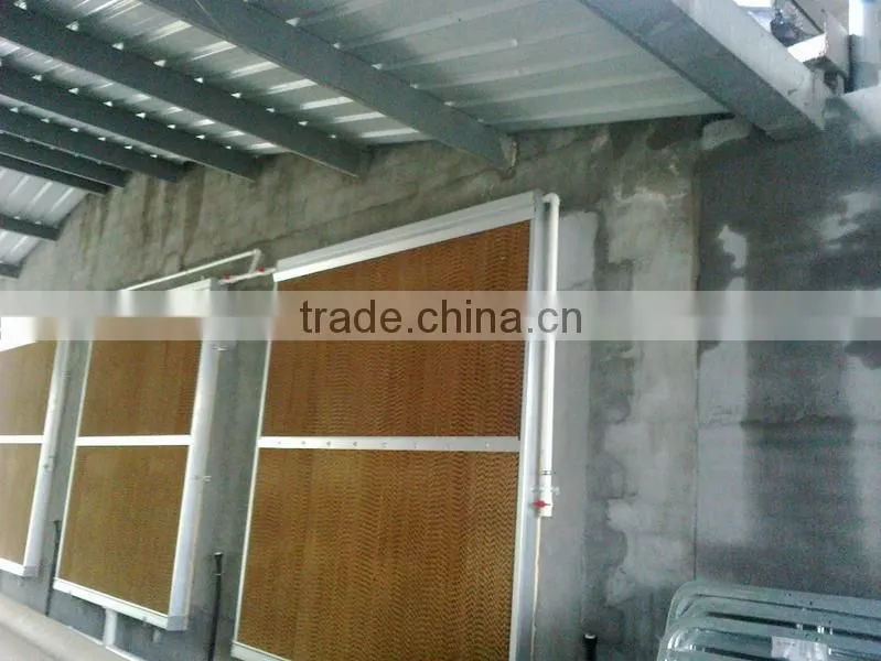 Automatic Rabbit Farming Equipment for Rex Rabbit