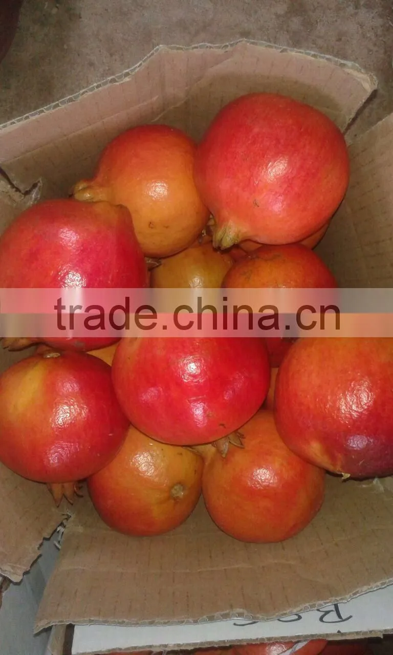 Fresh Pomegranate Fruit Supplier in India / Malaysia / Singapore / Dubai / Maldives / Sri Lanka