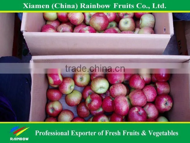 Class 1 Jiguan Apple