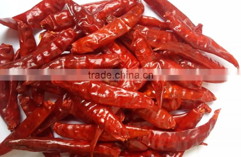 Exporters of Indian Sannam-S-4/334 Red Chilli Premium Grade
