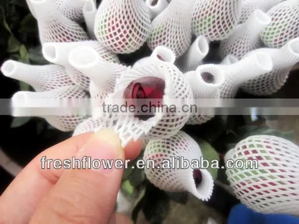 Wholesale fresh cut flowers of black rose from kunming