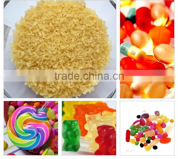 kosher halal gelatin/edible glue gelatin powder/unflavored pork skin gelatin