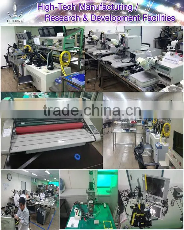 LEDORNA Flexible LED Light Shining Tranparent Crystal Film (LED Sign / LED Decoration / LED Information)