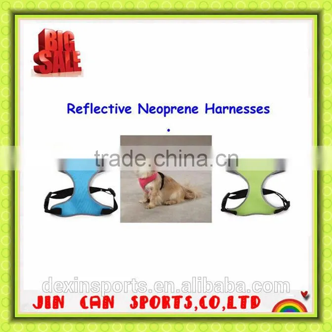 pets clothes and accessories