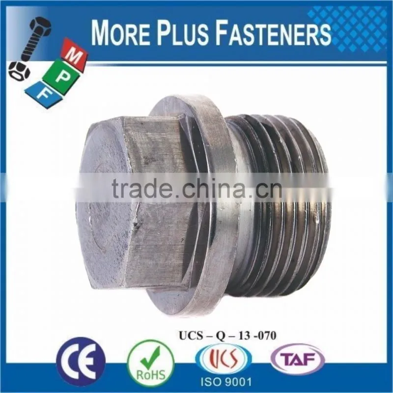 Made in Taiwan Hexagon Head Pipe Plugs DIN 910