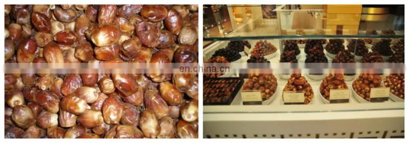 small scale dates syrup processing line
