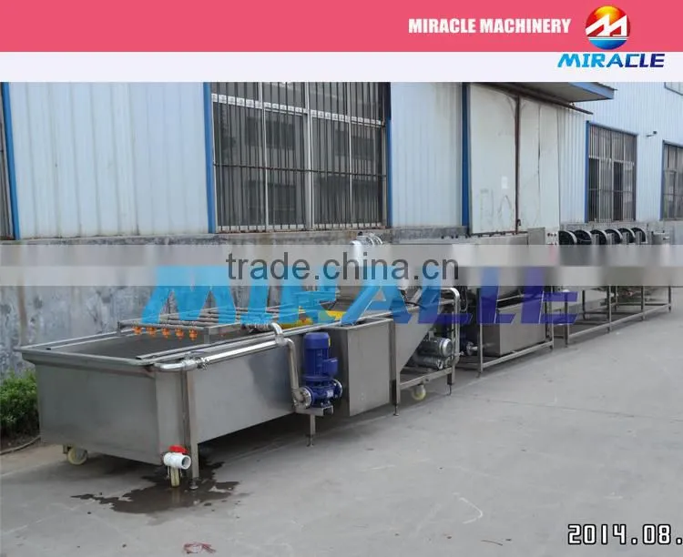 Air bubble vegetable cleaning machine/salted vegetables/fruits washing machine for sale