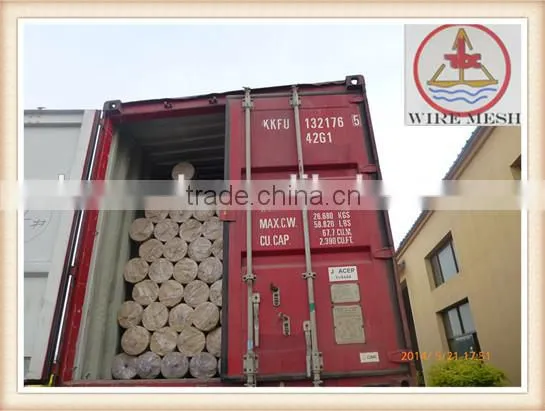 4x4Galvanized welded wire mesh /rabbit cage mesh fence
