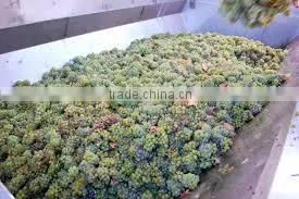 garpe stemmer and grape crusher with factory price