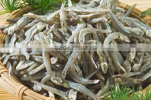 DRIED ANCHOVY FISH GOOD QUALITY - SPECIAL PRICE