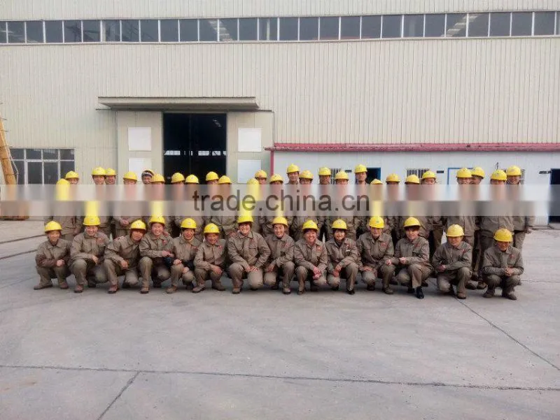 Industrial biomass boiler supplier/price biomass steam boiler