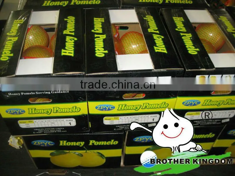 citrus fruit vietnam grapefruit pomelo price