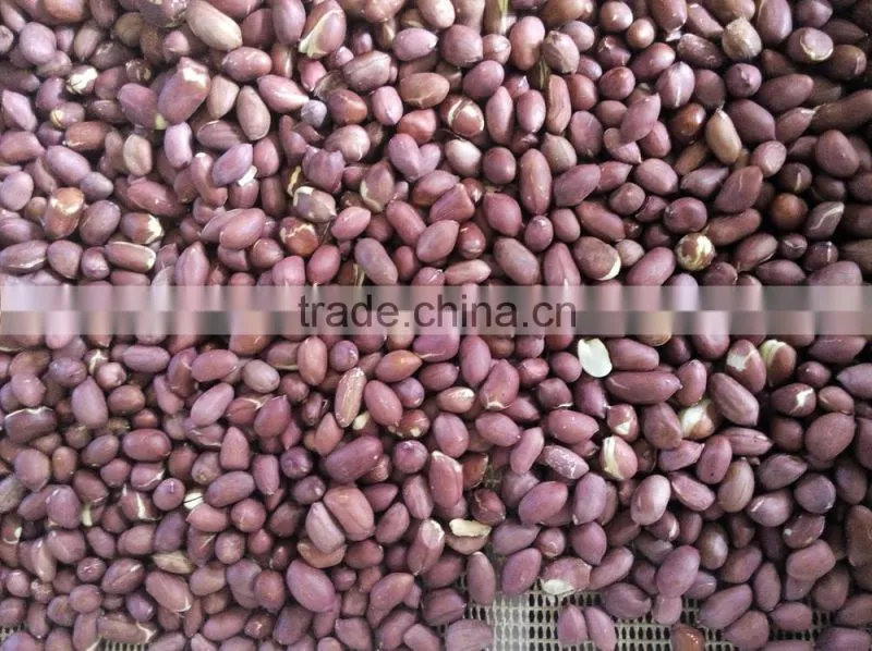 industrial continous feeding microwave coffee bean/nuts roasting machine